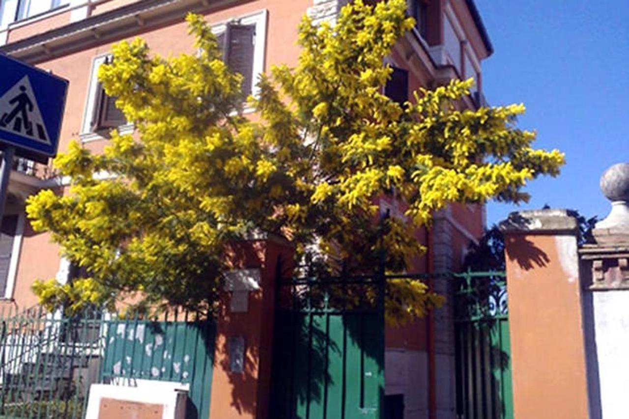 רומא Garden Flat By Vatican Walls מראה חיצוני תמונה
